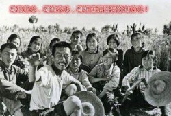 知青奇闻爆料事件真相视频,真相背后的惊人内幕