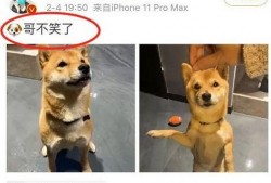 最新爆料狗哥,揭秘娱乐圈惊人内幕