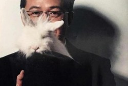 娱乐圈爆料人卓伟,娱乐圈爆料达人卓伟最新爆料揭秘！