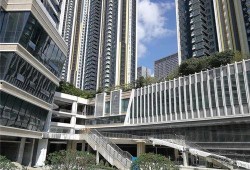 广东租房爆料最新消息网,最新租房市场动态及热门话题盘点